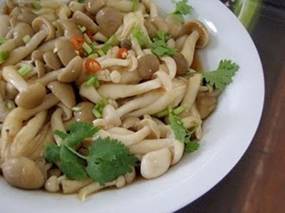 Thưởng thức món : Nấm linh chi xào chay .