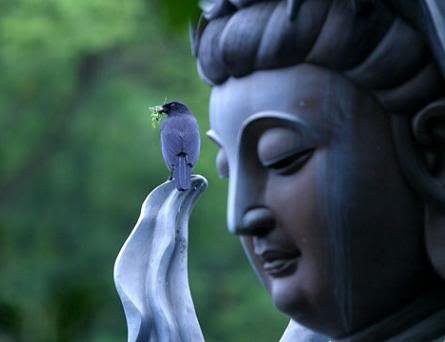 kinh te hoc phat giao huong ve su an lac va hanh phuc cua ca nhan va xa hoi qua su dieu do