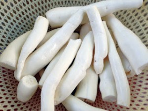 san (khoai mi) got sach vo