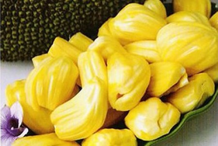 Một số món ăn chay từ mít mà bạn không thể bỏ qua