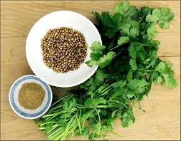 nau nuoc dung mon chay tu hat
